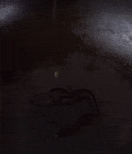 冷鍋熱油，下蒜片爆香，下香腸、玉米筍、蓮藕、西芹爆炒，期間加點(diǎn)水，翻炒1分鐘后加新鮮百合片，翻炒30秒。