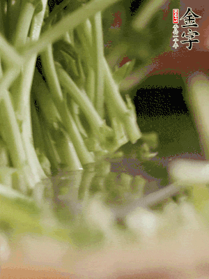 新鮮豌豆苗割下洗凈。